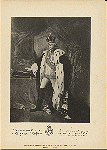 N. I. Tonchi. Imperator Pavel I.