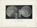 Sobranie M. P. Botkina. Ispano-mavritanskiia faiansovye izdeliia XV-XVI v.