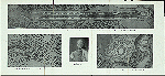 Katal'naia gora v Oranienbaume. Labirint v Oranienbaumskom parke v XVIII v.,Imperator Petr III, Petershtadskaia krepost' v Oranienbaume v XVIII v.