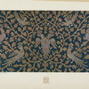 Iz sobraniia professora I. A. Shliapkina. Russkaiaparcha XV v.