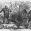 Killing a Gorilla (after Du Chaillu)