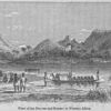 View of the Natives and scenery in Western Africa.