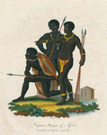Negroes, aborigines of Africa.