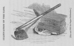 Hoe and bill for sugar cultivation