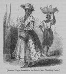 Female Negro peasant in her Sunday and working dress