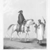 A favorite of the Seraglio accompanying a military expedition.