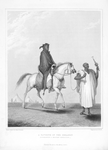 A favorite of the Seraglio accompanying a military expedition.