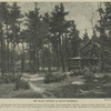 U. S. Grant.