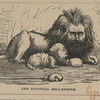 U.S. Grant - Political caricatures.
