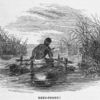 Reed-Ferry