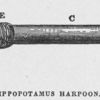 Hippopotamus Harpoon