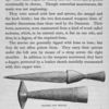 Pipe. Dagger and Sheath. Hatchet.