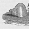 Dwellings variously formed. Circular, conical, hemispherical with a protruding neck