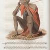 Portrait of a Bushman playing on the Gorah