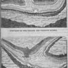 Junction of the Yellow and Cradock Rivers.  Junction of the Yellow and Alexander Rivers.