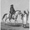 A Favourite of the Seraglio Accompanying a Military Expedition.