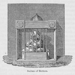 Sultan of Bornou