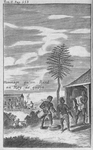 Hommage qu'on Rend au Roy de quoja.