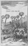 Canots de la Cote dor.