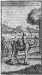Comme les Mores vont sur leurs Chameaux, Chevaux et Boeufs, avec leurs marchandises