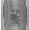 Outside View of Aruwimi Shield