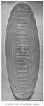 Outside View of Aruwimi Shield