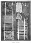 Domestic Articles.  Cloth of Bark Fibre, Wild Cotton, Whisp Broom, Caps, Congo Money, Mats, Ivory Finger Rings.