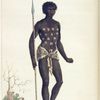 Negre de Zamamyl