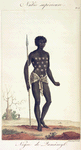Negre de Zamamyl