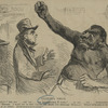 Horace Greeley  - Caricatures.