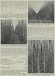 Horace Greeley  - Scenes from his life.