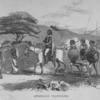 Abyssinian Travelling