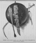 Shield with Lion's Mane and Tail, and Sword Ornamented with Silver Plates.