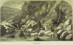 River Erib