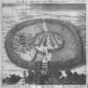 Draught of a Pholey Town and Plantations about it