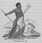 Genesis xvi, 12