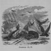Jeremiah viii, 22