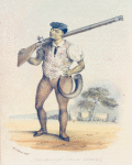 Andries Africander, A Mulatto Hottentot