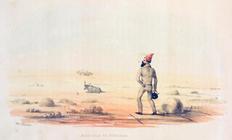 Index
