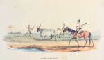 Driving in an Eland