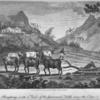 Ploughing with a view of the Governor's Villa near the Cape
