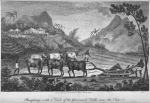 Ploughing with a view of the Governor's Villa near the Cape
