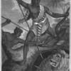 A Caffre Chief attacking a lion