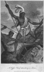 A Caffre Chief attacking a lion