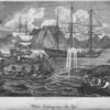 Whale Fishing near the Cape