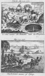 In what manner the hottentots catch the Elephants.  The Hottentot manner of Fishing.