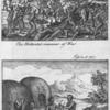 The Hottentot manner of war.  The Hottentot practice of Physick