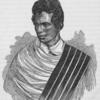 Hovah Chief