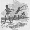 Catching Locusts