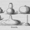 Gourds